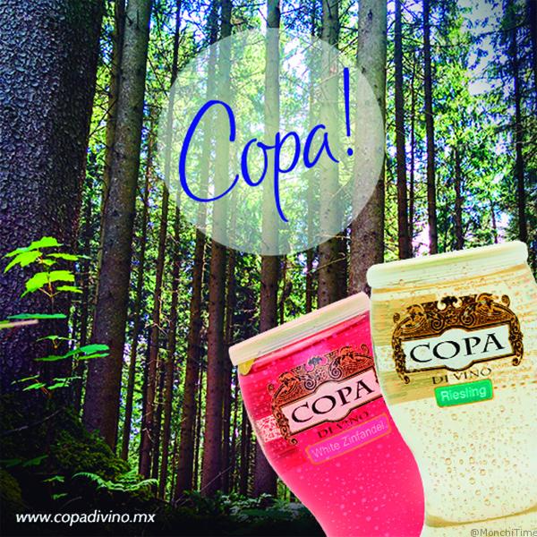 COPA-CAMP-2