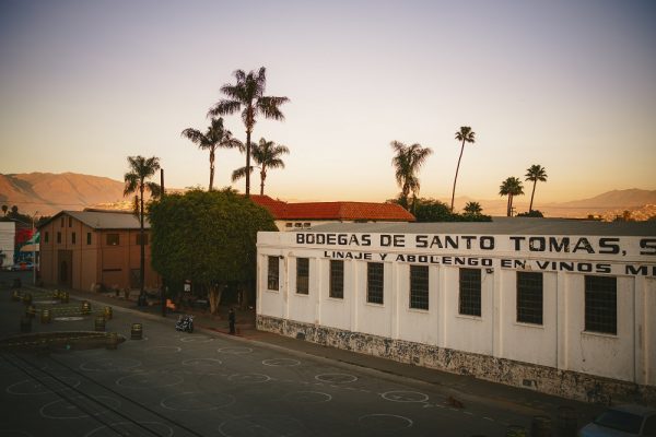 Bodegas de Santo Tomás