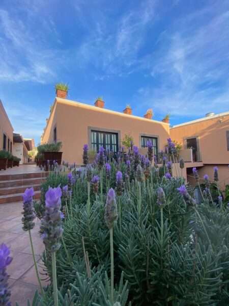 Hacienda de Guadalupe 1