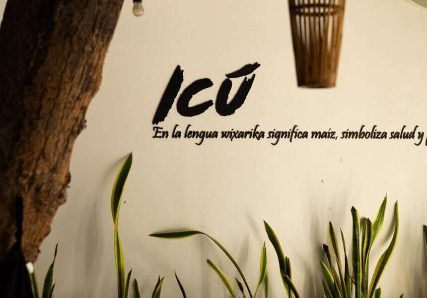 Icú Puerto Vallarta