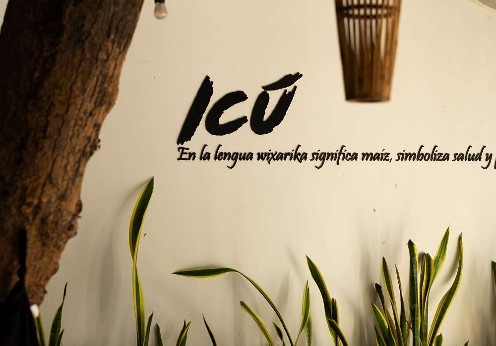 Icú Puerto Vallarta