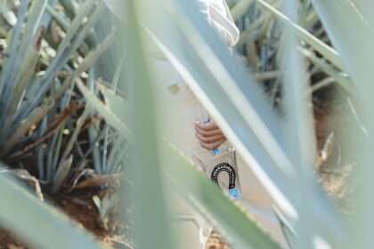 Tequila Reposado Herradura