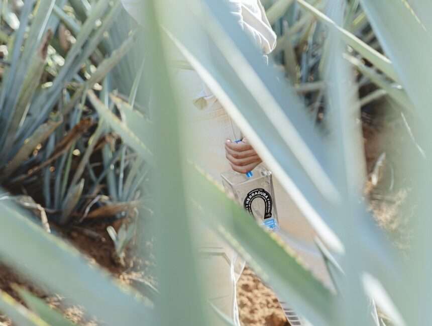 Tequila Reposado Herradura