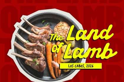 ARTE LAND OF LAMB 1