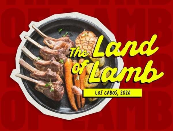 ARTE LAND OF LAMB 1