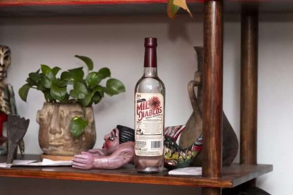 Día Nacional del Mezcal: una bebida hecha para compartirse